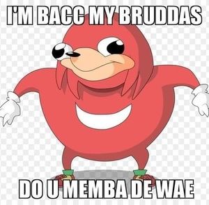 Meet your Posher, Ray